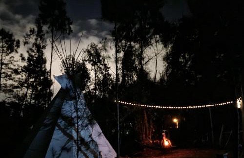 Pombal Apartment | Yuccasa - Small Glamping Camping & Studio's