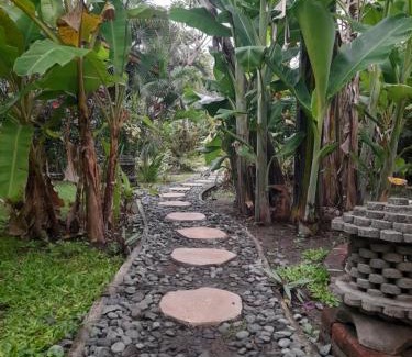 Pejarakan House | Yuda Menjangan Homestay