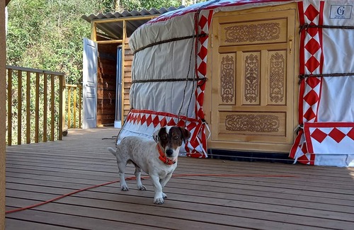 Carbuccia Cabin | Yurt in the countryside for 4 people, quiet, near Ajaccio