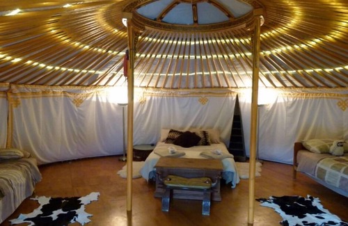 Kaikoura Bed & Breakfast | Yurt - Wacky Stays - six UNIQUE rentals in Kaikoura