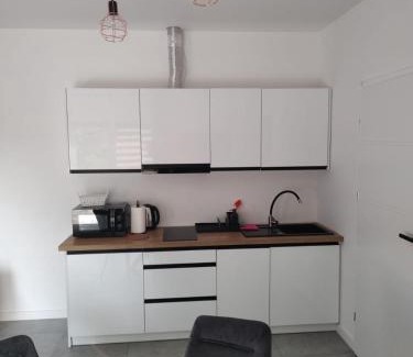 Stare Sady Apartment | Złote Sady Apartamenty na Mazurach z widokiem na jezioro