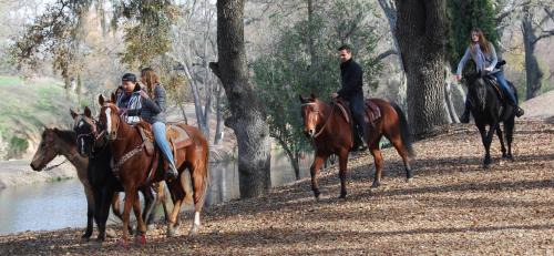 Templeton House | Z Ranch