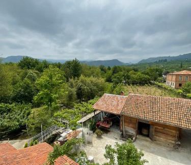 Vani Bed & Breakfast | Zaali's wine cellar