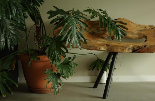 Vila de Rei Bed & Breakfast | Zab Living