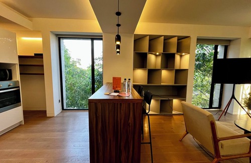 Roma Norte Apartment | Zacatecas 502 by Wynwood House