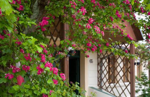 Trzebiatow House | Zagroda Chłopska