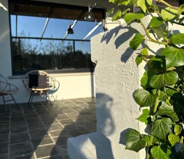 Sint-Truiden House | Zalig HASPENGOUW