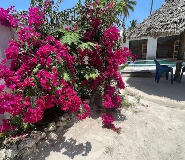 Bwejuu House | Zanzibar Dream Villa & Guest Rooms