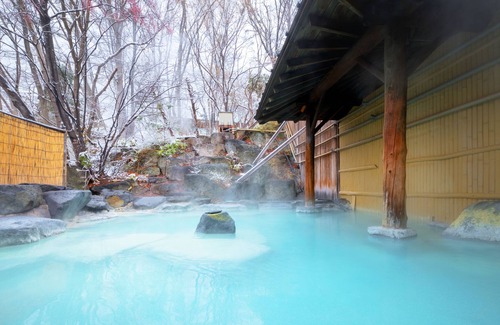 Zaoonsen Hotel | ZAO Center Plaza