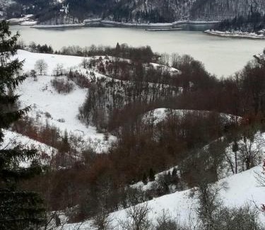 Bajina Basta Apartment | Zaovinska Panorama I