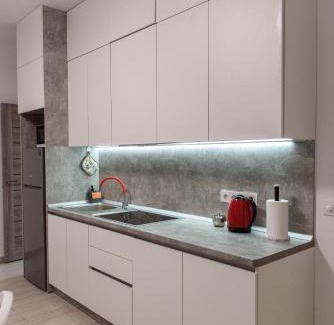 Skole Villa | Zarinok House