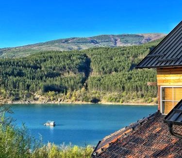 Stara Planina Apartment | Zavojsko jezero - Vila Jezero