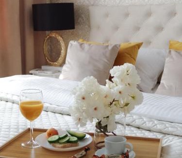 gmina Bobrowniki Apartment | ZB Apartment Luxor Pyrzowice Bobrowniki