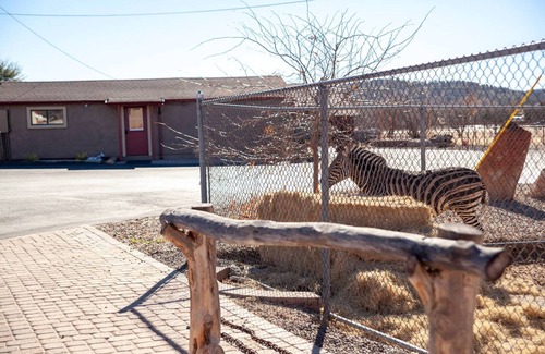 Williamson House | Zebra Rustic Retreat 3BR Home on Zebra Ranch