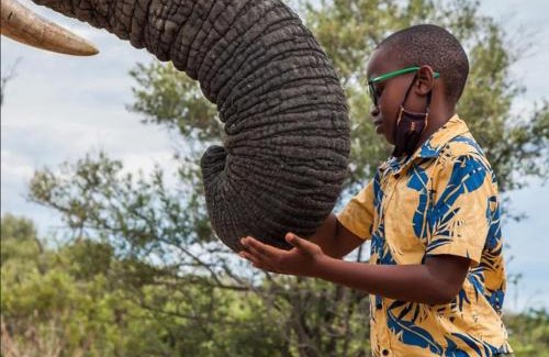 Leeupoort Villa | Zebula Golf and Wildlife Estate - Giraffe Plains Pax 4 - Moi Signature Luxury villa