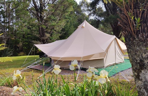 Zeehan RV Rental | Zeehan Bush Camp