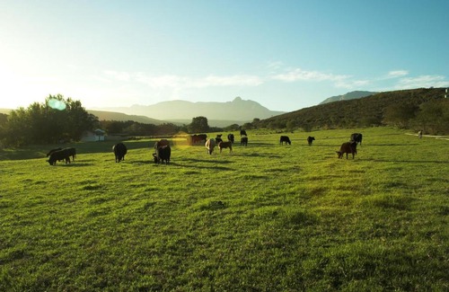Riversdale House | Zeekoegat Historical Homestead