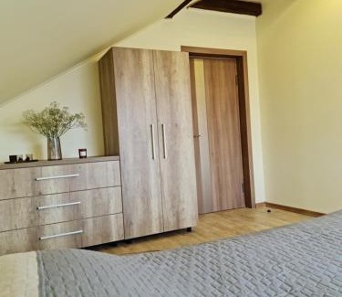 Uzhhorod House | Zelena Saduba