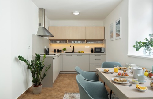 Brno-stred Apartment | Zelný Trh Boutique Apartments #11 by Goodnite cz