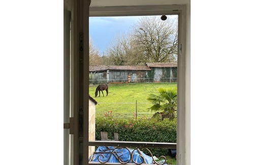 Saint-Mariens House | Zen and Tranquil house in the countryside but 30 minutes from BORDEAUX