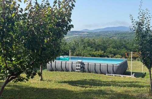 Mladenovac Villa | Zen Cherry House- Vikendica na dan sa bazenom1,5ha izmedju Avale i Kosmaja