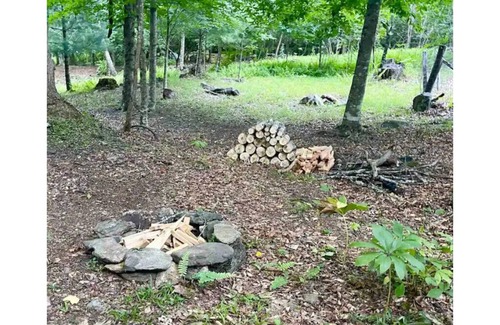 Green Mountain Cabin | Zen Dome: Relax & Revive in the Beauty of Nature