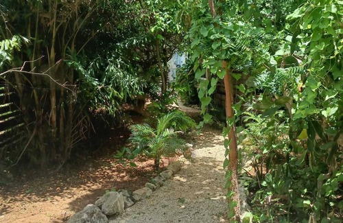 Savannah Cottage | Zen Eden 1-bedroom in Savannah with WiFi, AC, close to beach and shopping