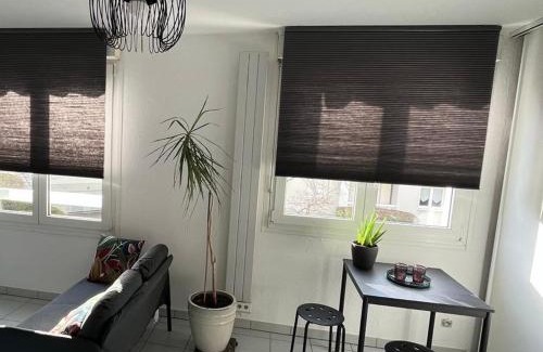 Robertsau Apartment | ZEN-ITUDE