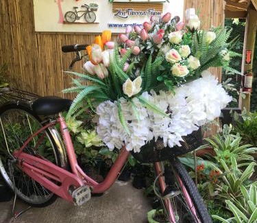 Dingalan Resort | Zen Tierras Farm by Cocotel