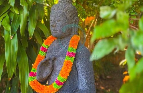 Nightcliff House | Zenhouse: 6-BR Balinese Tropical Oasis in Nightcliff Central