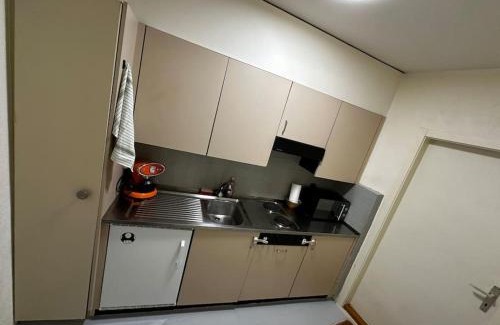 Fribourg Apartment | Zentral und komfortabel an der Kathedrale