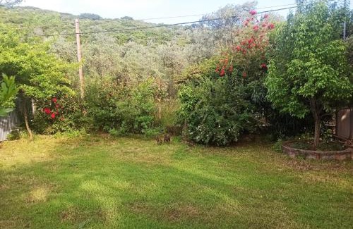 Lefokastron House | Zephyr Guest House