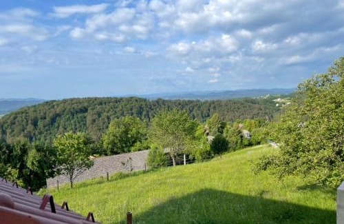 Zagorje ob Savi Apartment | Zerko Holiday Apartment Janko in a house with an outdoor jacuzzi for FREE