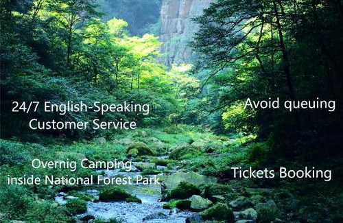 Wulingyuan Other | Zhangjiajie National Forest Park Camping