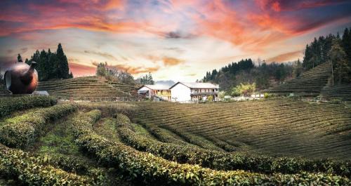 Yongding Hotel | Zhangjiajie YOLO Resort-Within Zhangjiajie National Forest Park