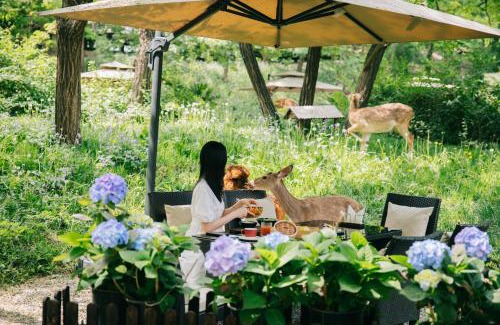 Chaoyang Hotel | Zhi Resort Beijing&Peafowl Garden&Breakfast with Deer&Private Hot Spring&Landscapes of a Thousand Acres&50 Meter Swimming Pool&Free Coffee&Close to Olympic Forest Park