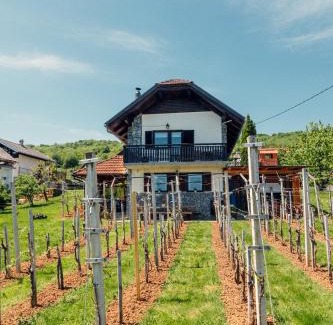 Crnomelj House | Zidanica Bahor
