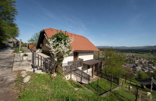 Novo Mesto House | ZIDANICA KRŠTINC