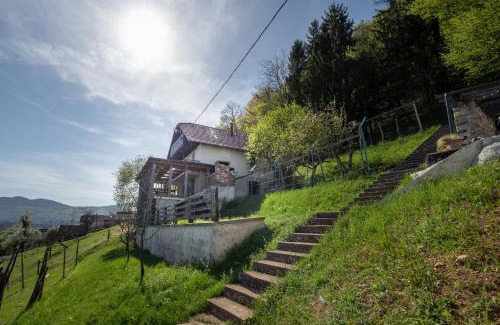 Novo Mesto House | ZIDANICA KRŠTINC