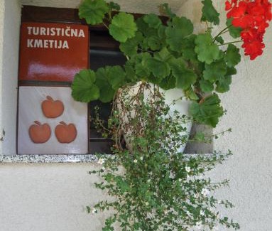 Novo Mesto House | ZIDANICA KRŠTINC