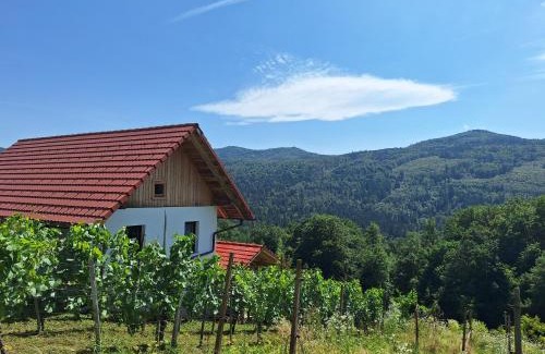 Dolenjske Toplice House | Zidanica Vidrih