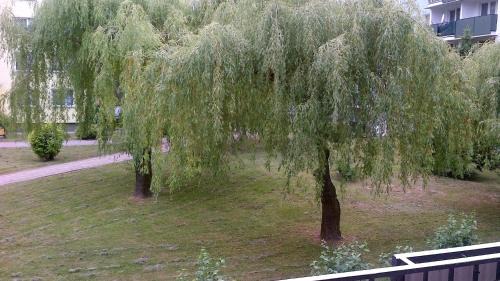 Lublin Apartment | Zielona Herbowa