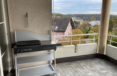 Schaffhausen Apartment | Zimmer direk am Waldrand mit Ausblick über Schaffhausen und Wohnzimmer mit Kamin