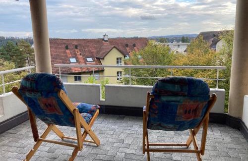 Schaffhausen Apartment | Zimmer direk am Waldrand mit Ausblick über Schaffhausen und Wohnzimmer mit Kamin