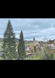 Kirschhausen Apartment | Zimmer für 2 Monteure in Heppenheim Kirschhausen