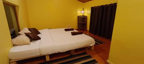 Coonoor House | Zimr
