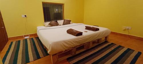 Coonoor House | Zimr