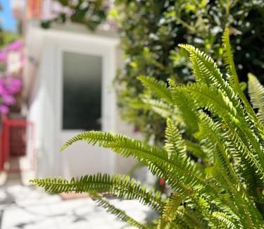 Susanj Apartment | Zinzula 2