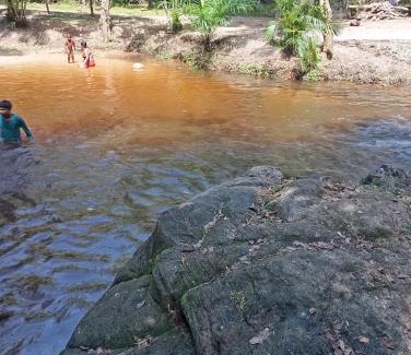 Castelo da Torre Other | Zion camping