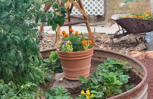 Colorado City Bed & Breakfast | Zion's Backyard B&B